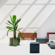 The Rupert Planter in Pistachio Tiles