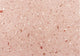 Pink Terrazzo