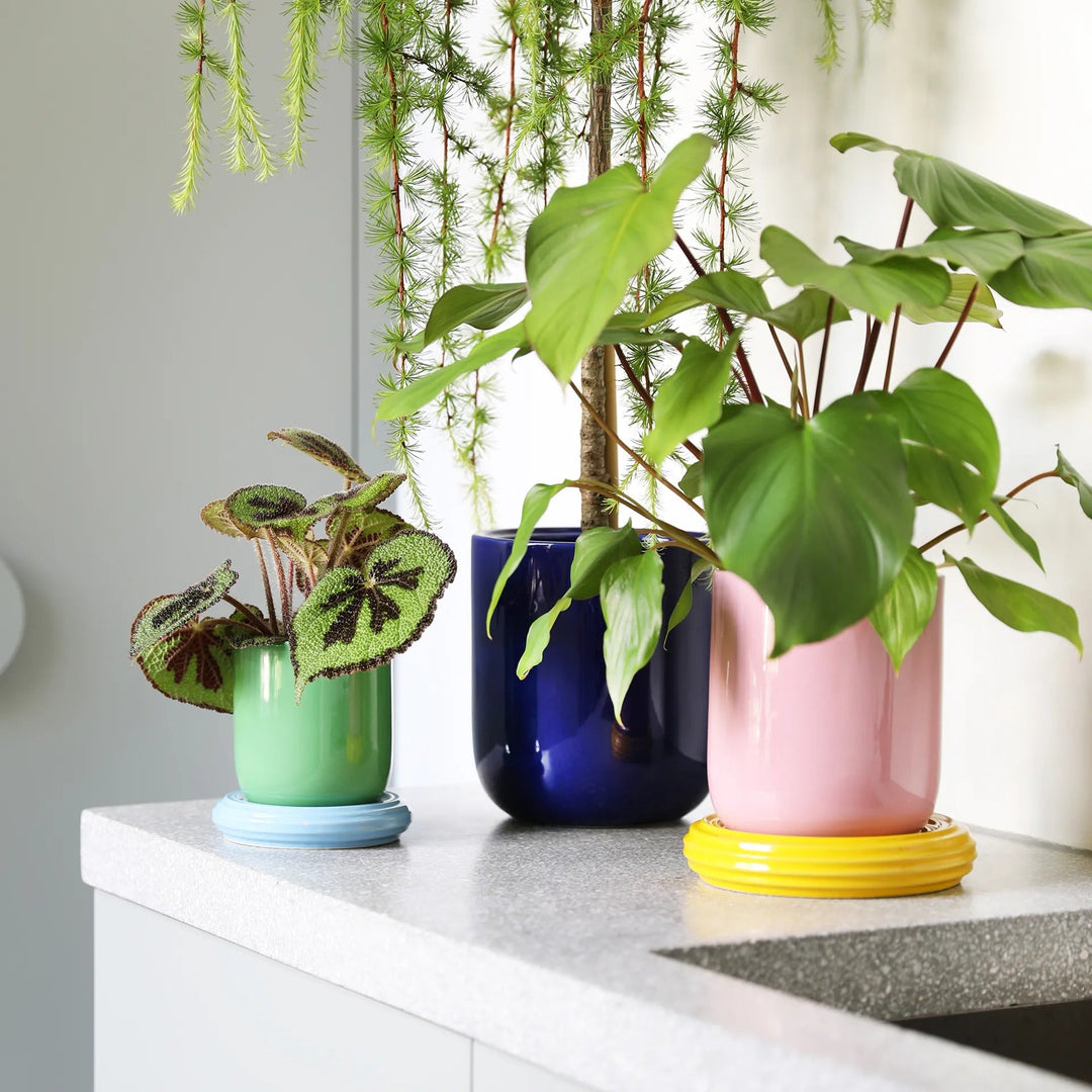 Planter Churros Pink – Stoneware Decorative Planter with Colorful Design