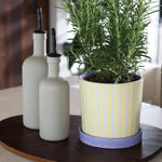 تحميل الصورة إلى عارض المعرض، Planter Ray Yellow – Porcelain Decorative Planter with Hand-Painted Striped Design
